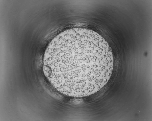 X0000116140554201001041034