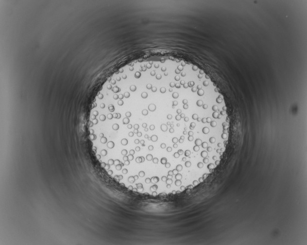 X0000116140555201001041035