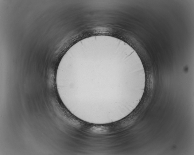 X0000116140557201001041035