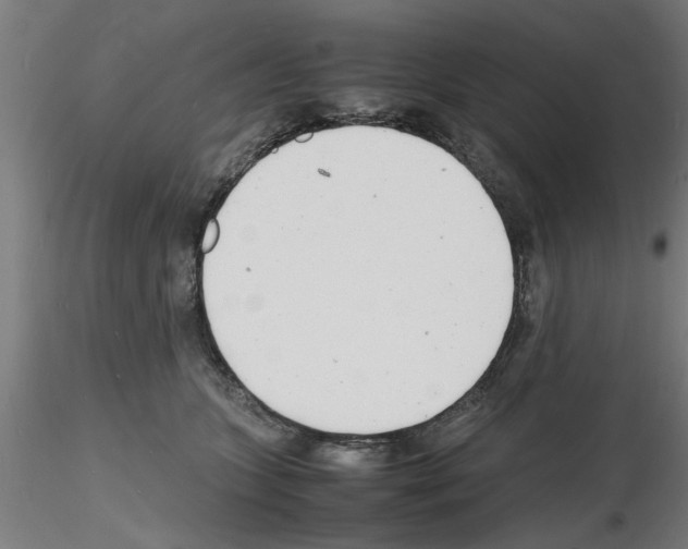 X0000116140563201001041035