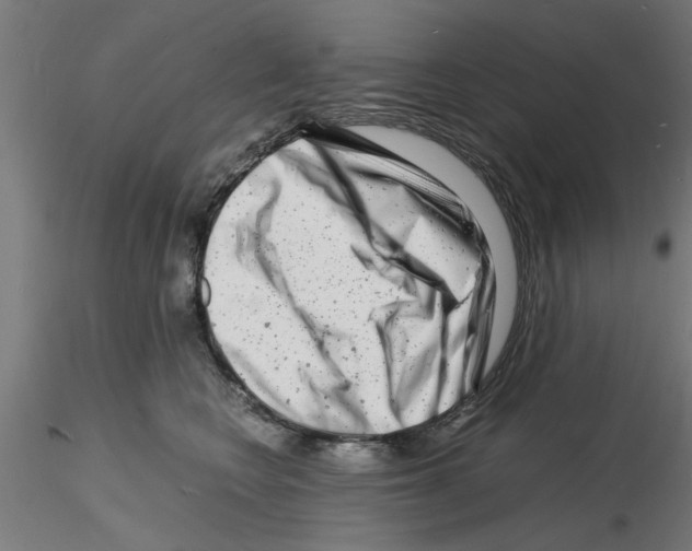 X0000116140566201001041035