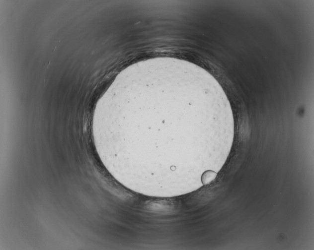 X0000116140567201001041035