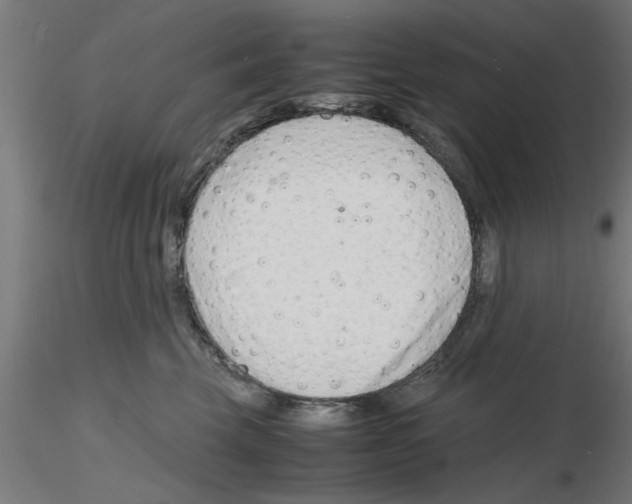 X0000116140569201001041035