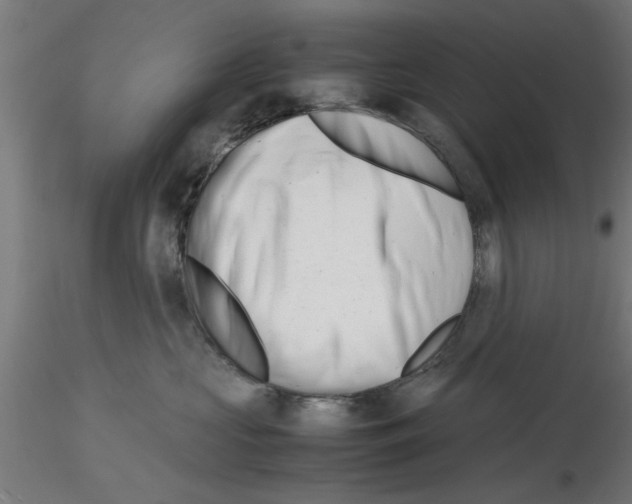 X0000116140573201001041035