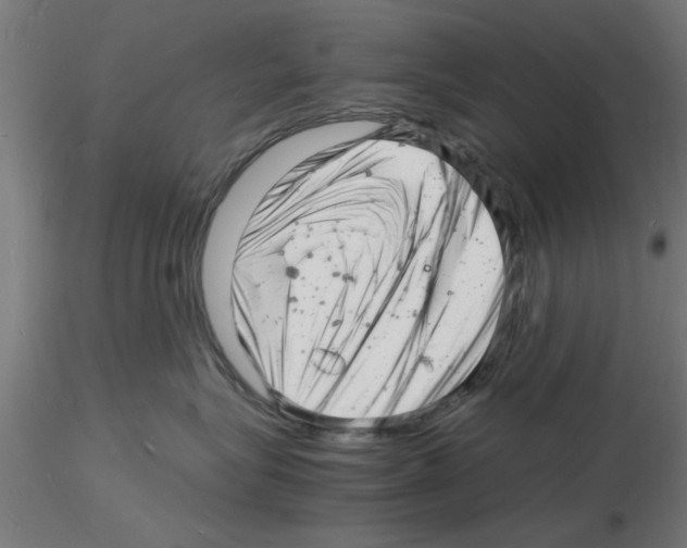 X0000116140575201001041035