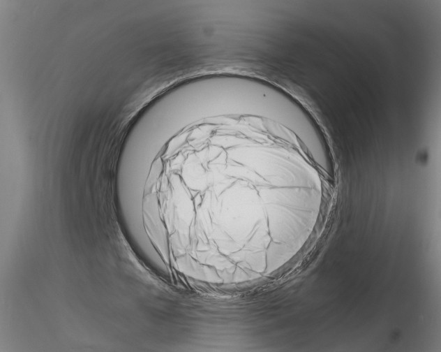 X0000116140577201001041034