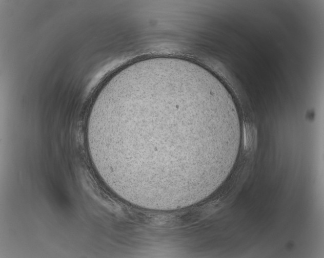 X0000116140579201001041034