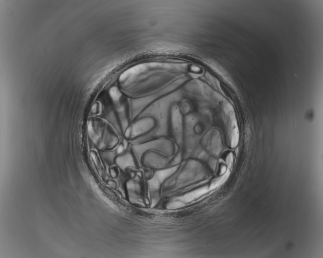 X0000116140581201001041034