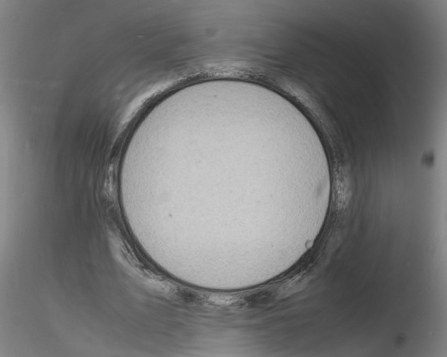 X0000116140583201001041034