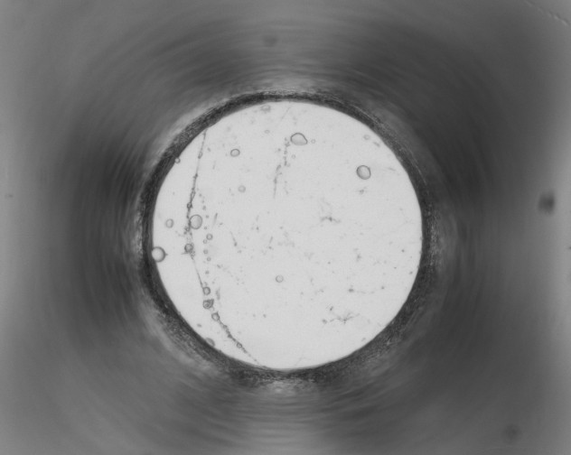 X0000116140584201001041034