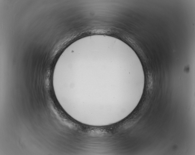 X0000116140586201001041034