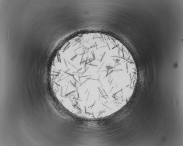 X0000116140588201001041034