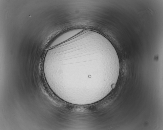 X0000116140590201001041034