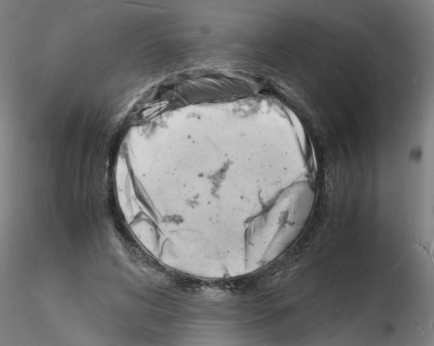 X0000116140592201001041034