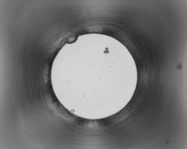 X0000116140600201001041034