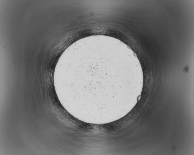 X0000116140601201001041034