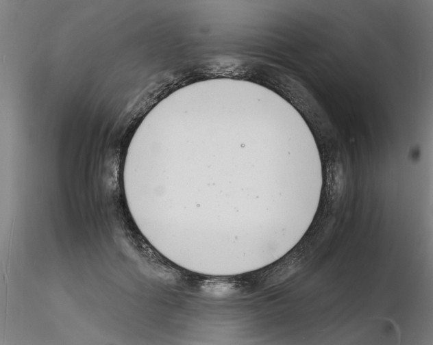 X0000116140602201001041034