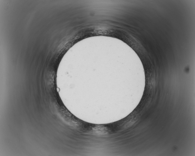 X0000116140603201001041034