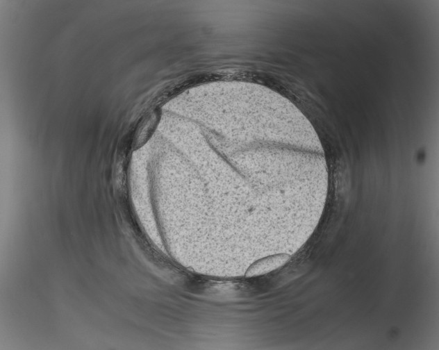 X0000116140611201001041034