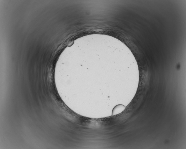 X0000116140612201001041034