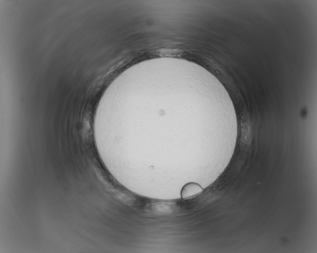 X0000116140618201001041034