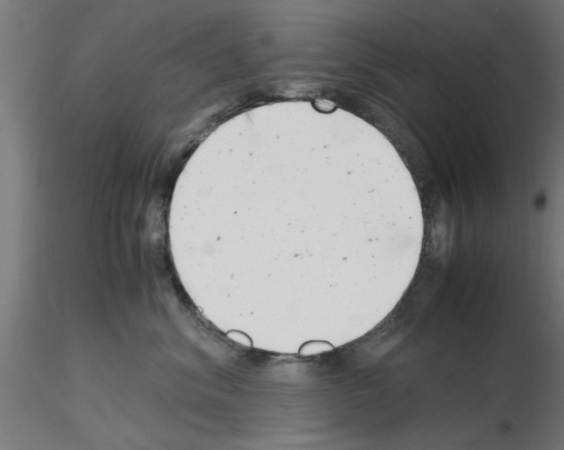 X0000116140620201001041034