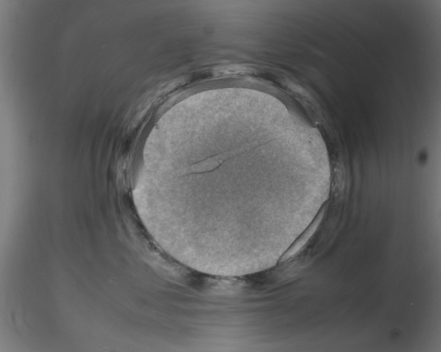 X0000116140621201001041034