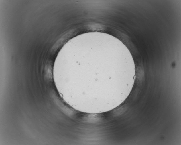 X0000116140622201001041034