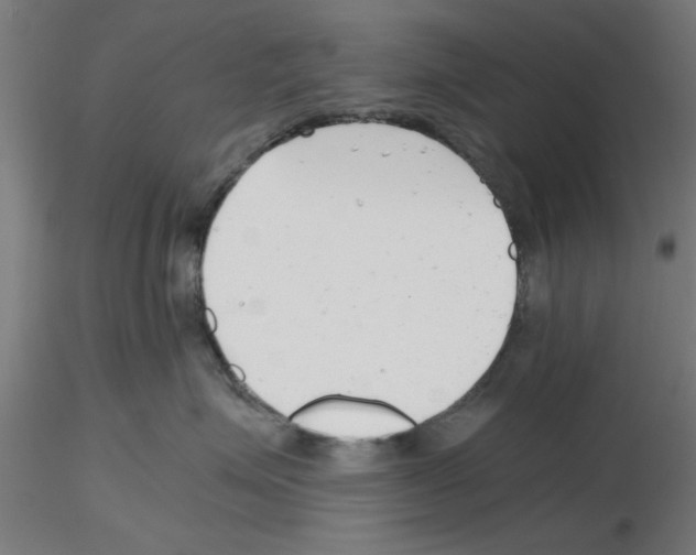 X0000116140623201001041034