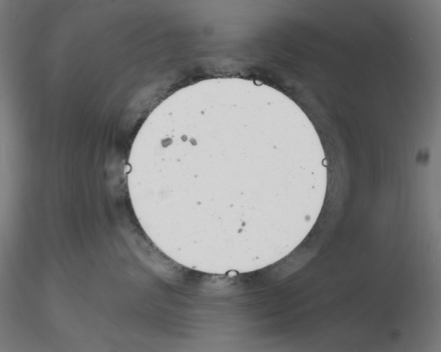 X0000116140624201001041034