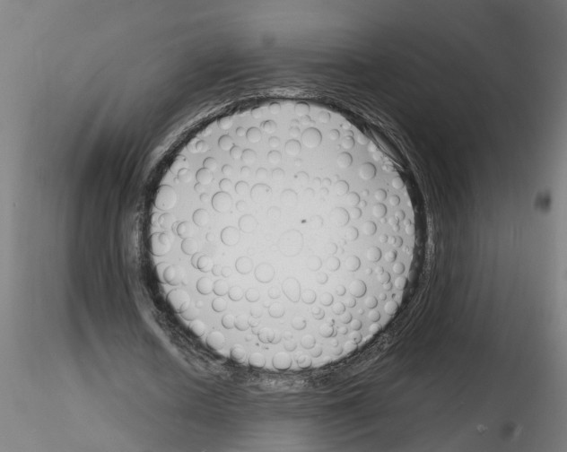 X0000116140626201001041033