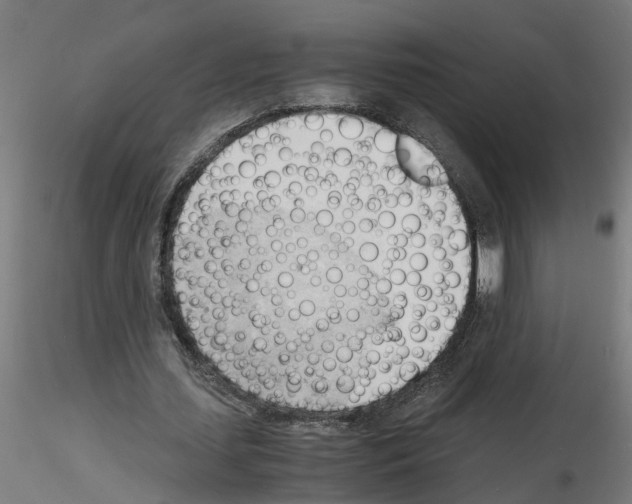 X0000116140627201001041033