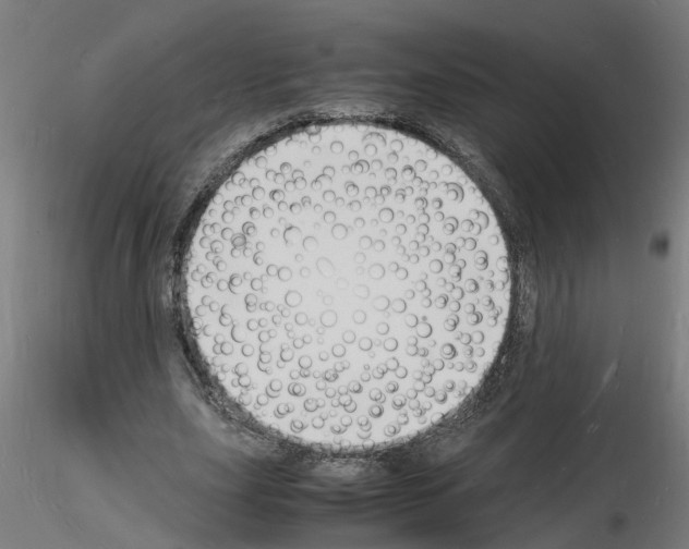 X0000116140631201001041033