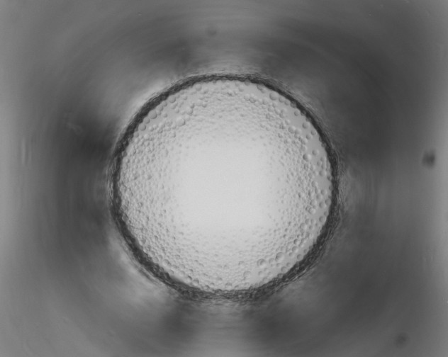 X0000116140632201001041033