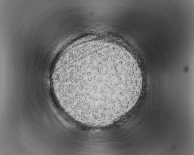 X0000116140634201001041033