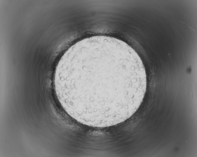 X0000116140635201001041033