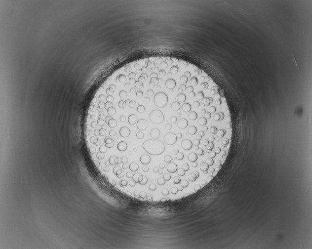 X0000116140638201001041033