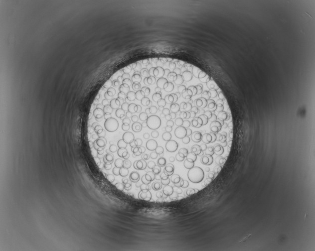 X0000116140639201001041033