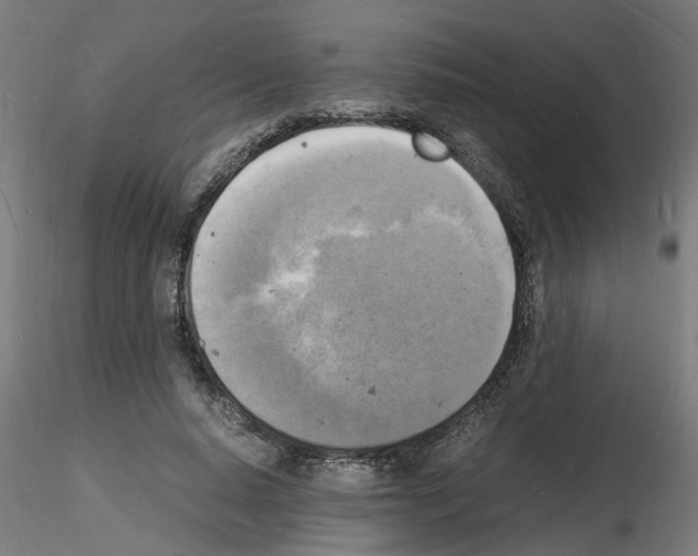 X0000116140640201001041033