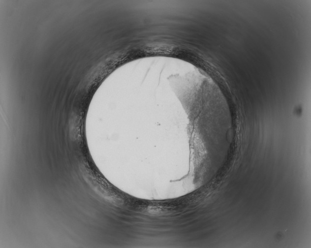 X0000116140641201001041033