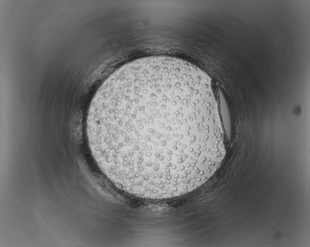 X0000116140642201001041033