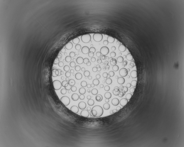 X0000116140646201001041033