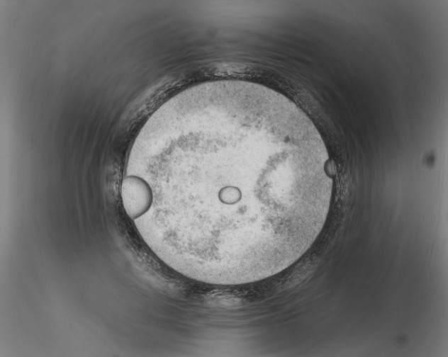 X0000116140648201001041033