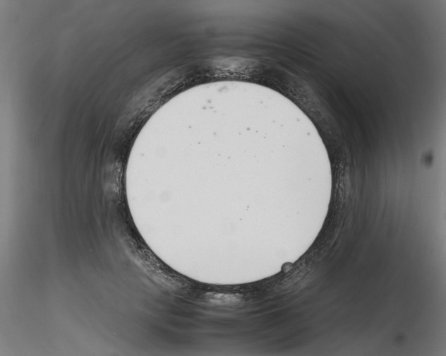 X0000116140649201001041033