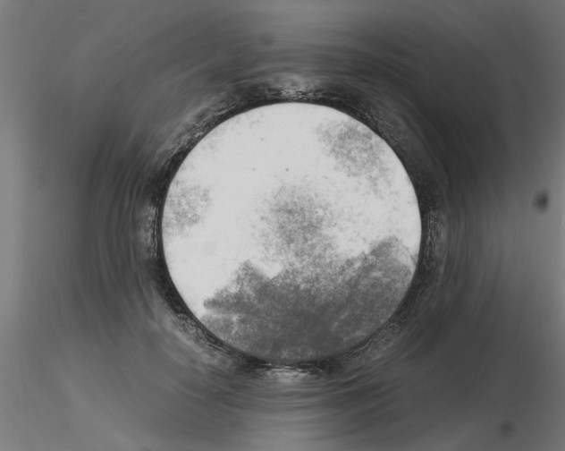 X0000116140650201001041033