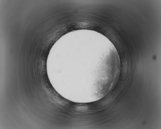 X0000116140653201001041033