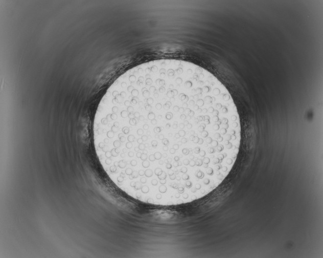 X0000116140654201001041033