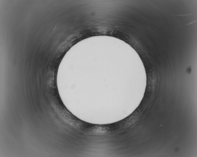 X0000116140656201001041033