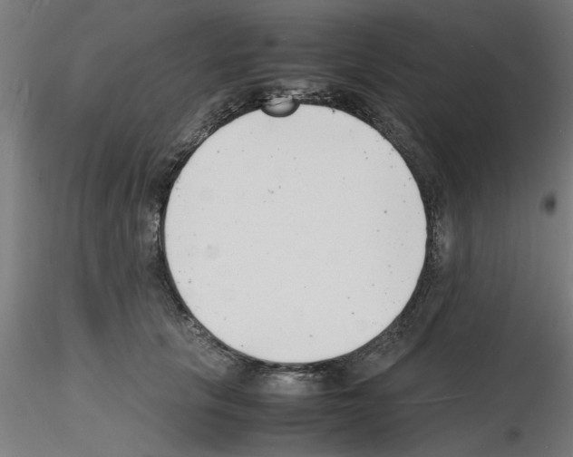 X0000116140657201001041033