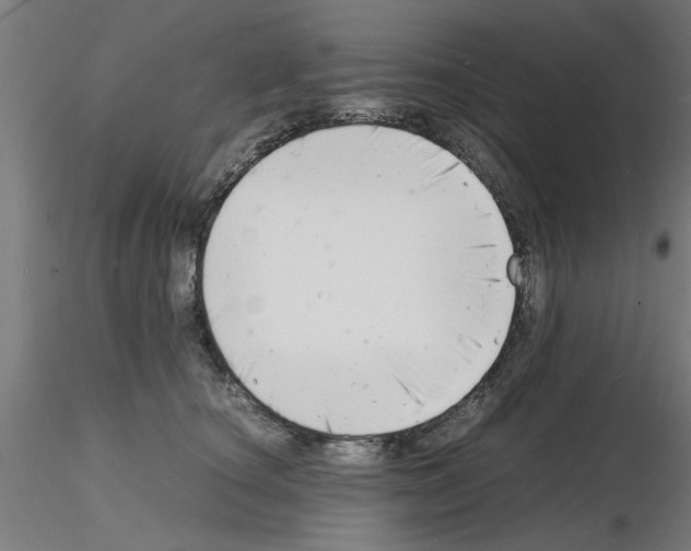 X0000116140660201001041033